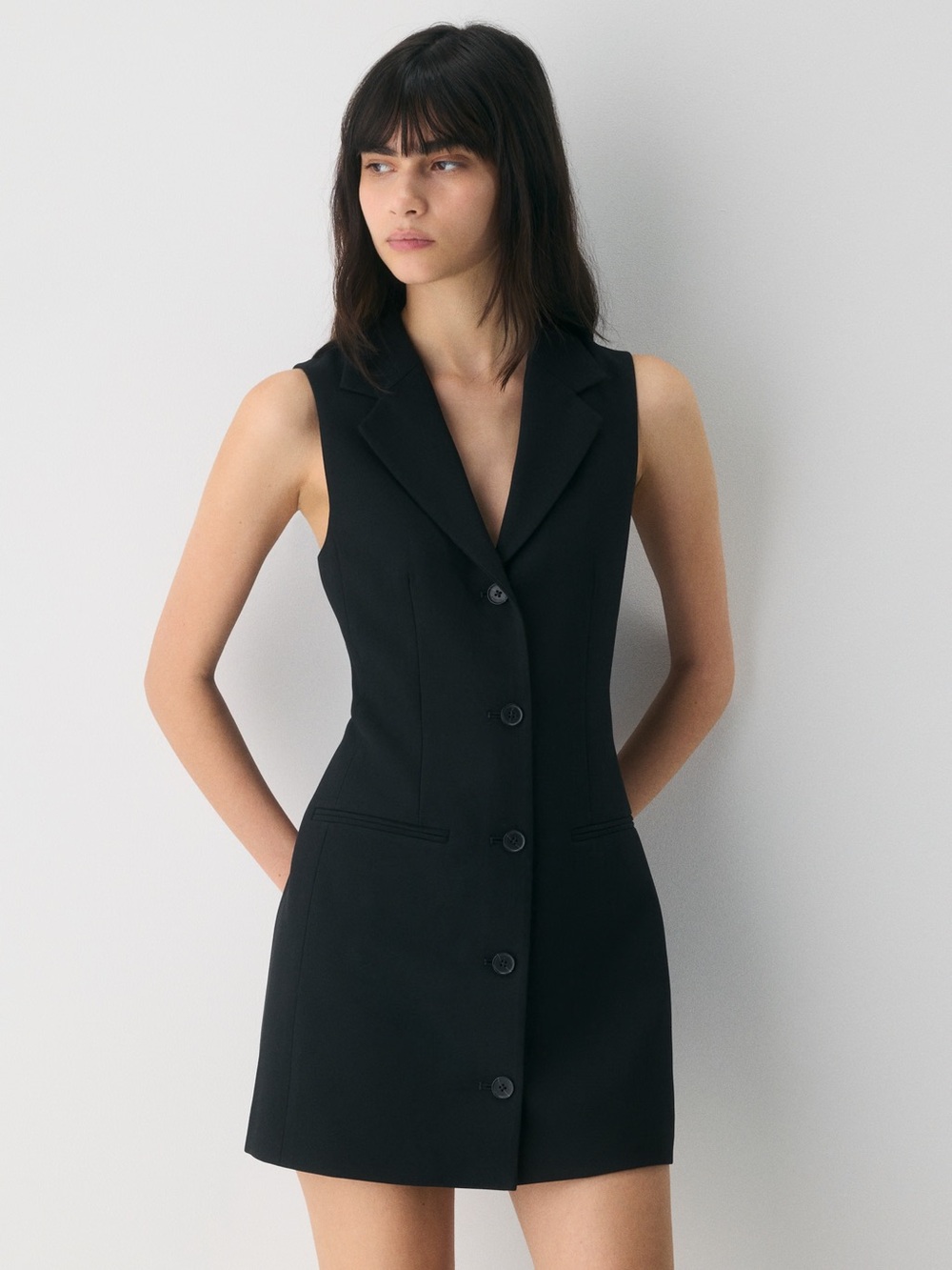 Babaton Sleeveless Black Button-Front Tailored Dress